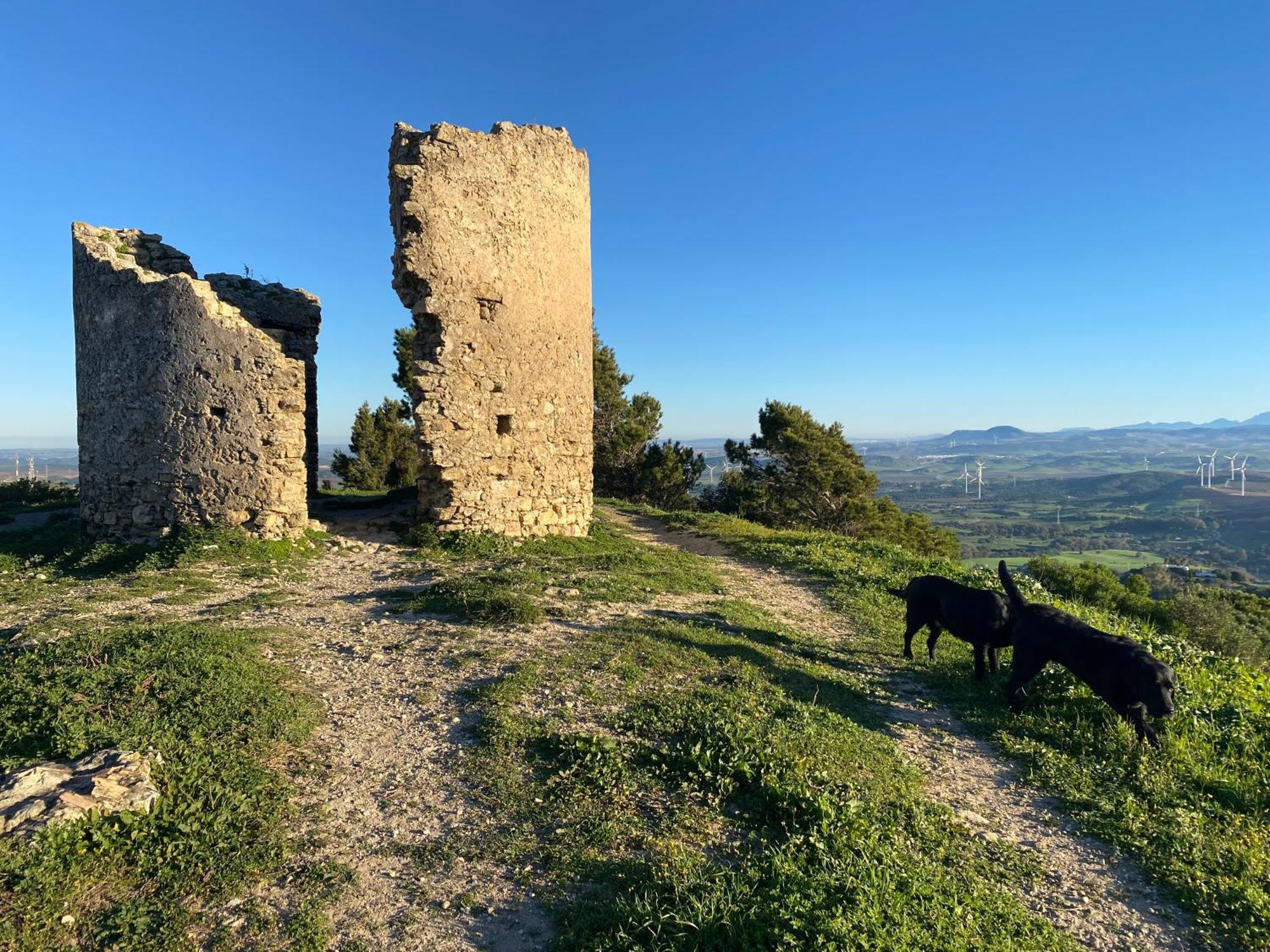 Casita De La Suerte Appartement Medina-Sidonia Buitenkant foto